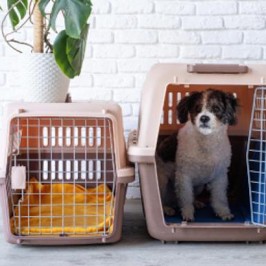 Travel Carriers & Crates