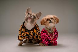 Complete Pet Wellness Checkup